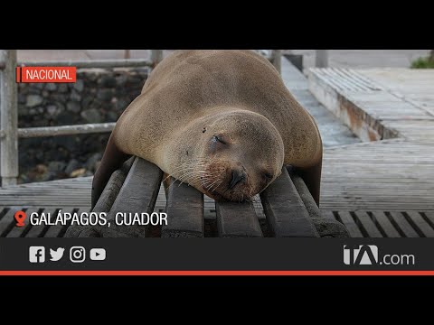 El turismo en