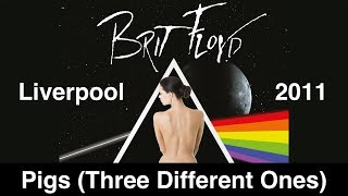 Brit Floyd - Pigs (Three Different Ones) (HD) - Music of Pink Floyd