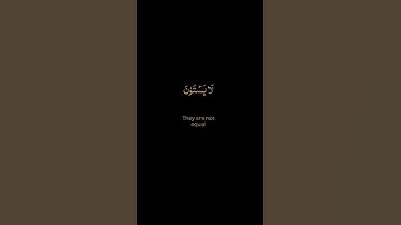سورة السجدة / القارئ عبد الرحمن مسعد / تلاوة خاشعة