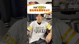 【プロ野球】予算1億円で変化球習得して最強ピッチャーになれ!!#プロ野球 #野球 #セリーグ #パリーグ