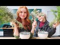 It’s beginning to smell a lot like christmas | Madelaine Petsch