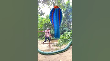 Anaconda snake in real life P149#shorts #short #snake #nagin #python #anaconda #snakes #bigsnake