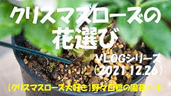 Mbaheblogjprhu2