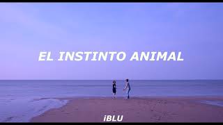 Video thumbnail of "The Cranberries // Animal Instinct (Subtitulada Al Español)"