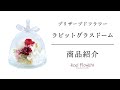 商品紹介 プリザーブドフラワー「rabiss（ラビス）」