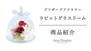 商品紹介 プリザーブドフラワー「rabiss（ラビス）」