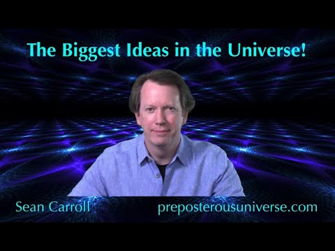 The Biggest Ideas in the Universe | Q&amp;A 15 - Gauge Theory