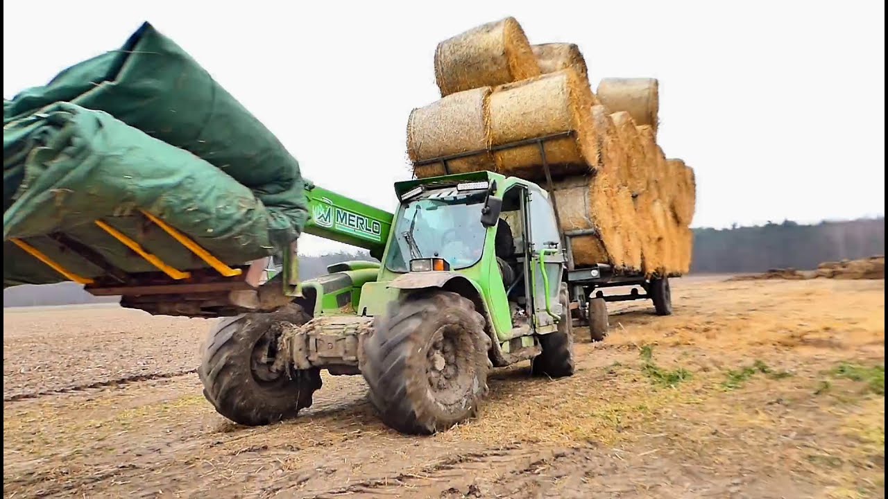 Ładowanie i zwożenie bel słomy 2021