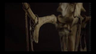 WOLFHEART - The Saw (Official Video) | Napalm Records