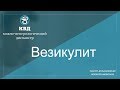 343  Везикулит