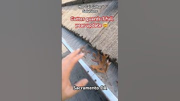 🍁 Gutter guards review after 1 year of use 🌳 Nor Cal Gutter Solutions #gutterguards #sacramento