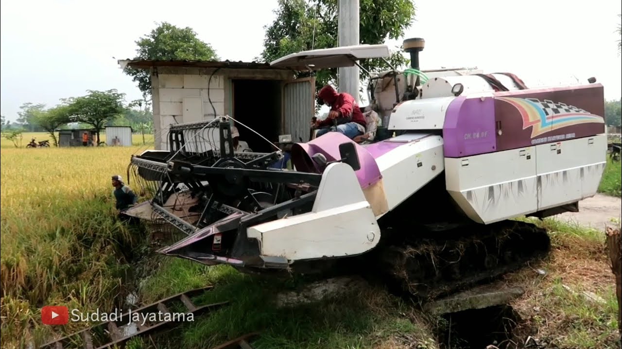 CARA MESIN PANEN PADI INARI BESAR MULAI MASUK KE SAWAH