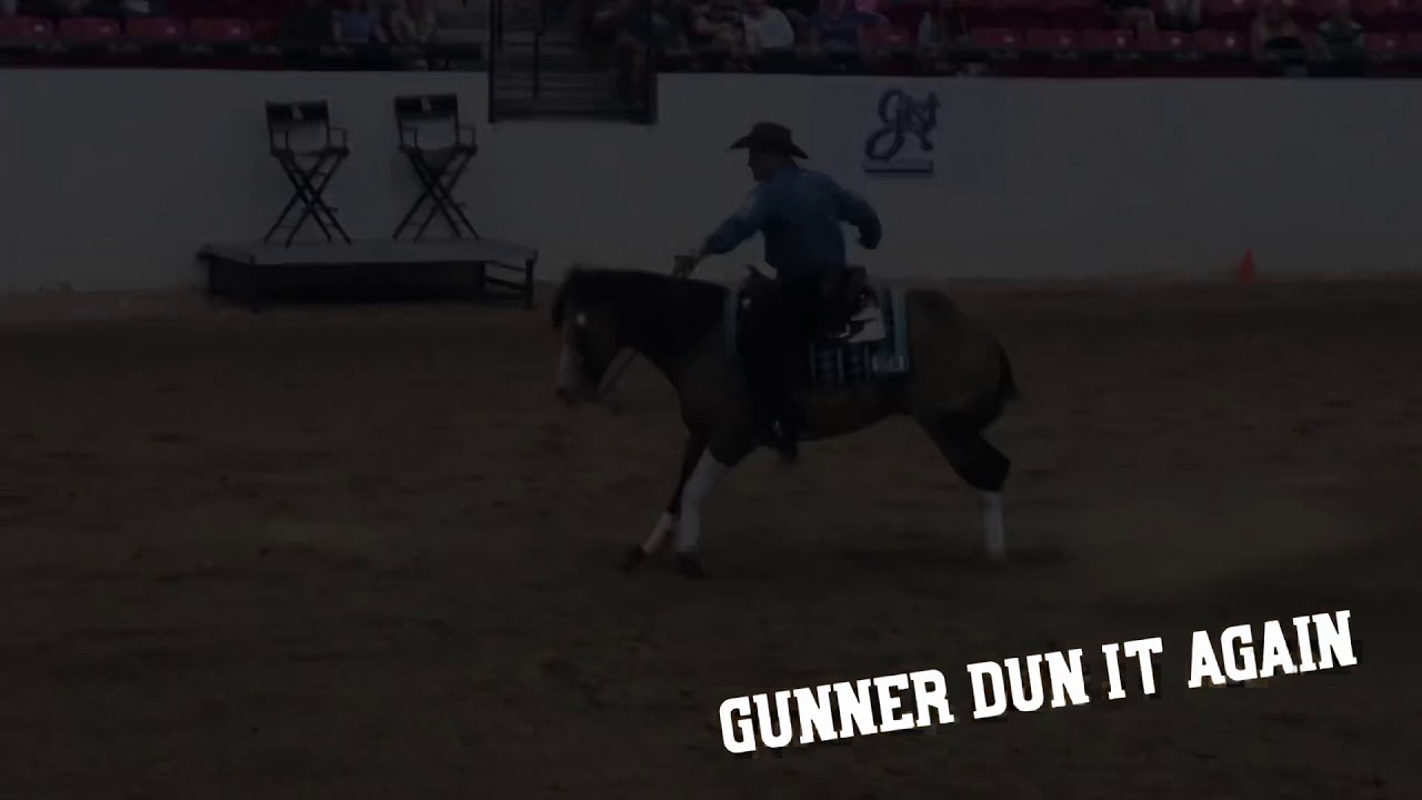 Gunner Dun It Again