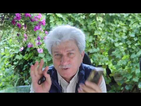 قتلوه وسلخوا جلده