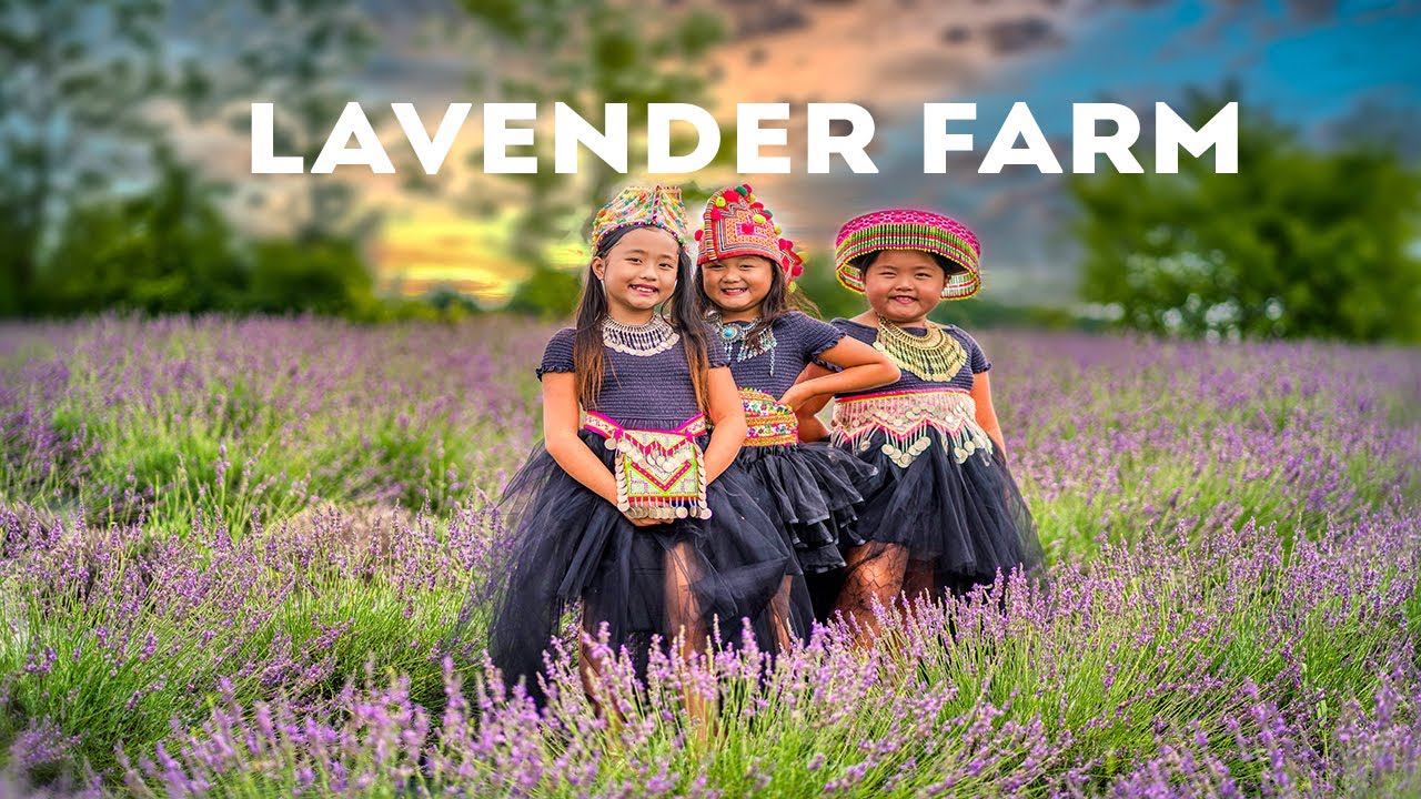 A day at a lavender farm in Baraboo Wisconsin 