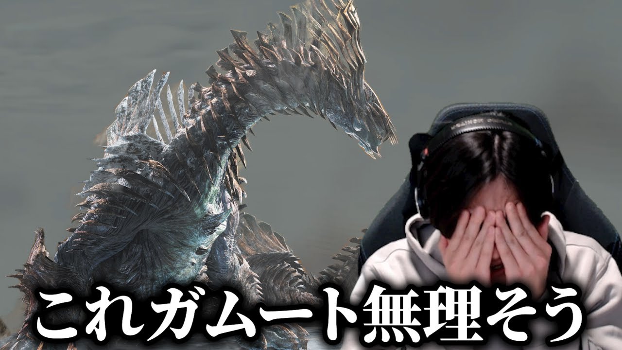 ジン・ダハド戦であることに気づいてしまう… 【初見ランス】