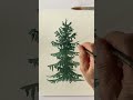 Paint conifers with watercolors