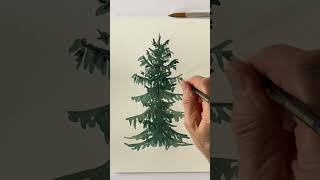 Paint conifers with watercolors