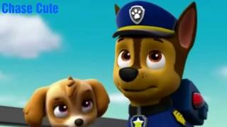 Famous Chase Tribute MY FIRST VIDEO🐶 Profile