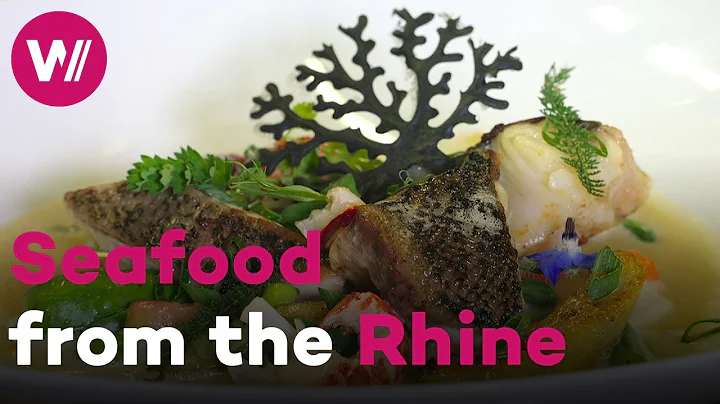Rhine fishing - Seafood delicacies and other big f...
