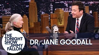 Dr. Jane Goodall Introduces Jimmy to Her Mascot Mr. H and Disneynature's Steve Dr. Jane Goodall Introduces Jimmy to Her Mascot Mr. H and Disneynature's Steve