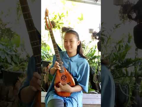 #ดีดพิณ ซ้อมพิณ ลาย4คีย์ #ขอบคุณซาวด์อ.ใบตองกุง #พิณอีสาน #cover #