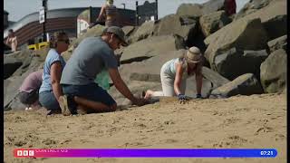 Update on 'devastating' impact of birds eating nurdles as cleanup continues 3 months on (3) (UK)