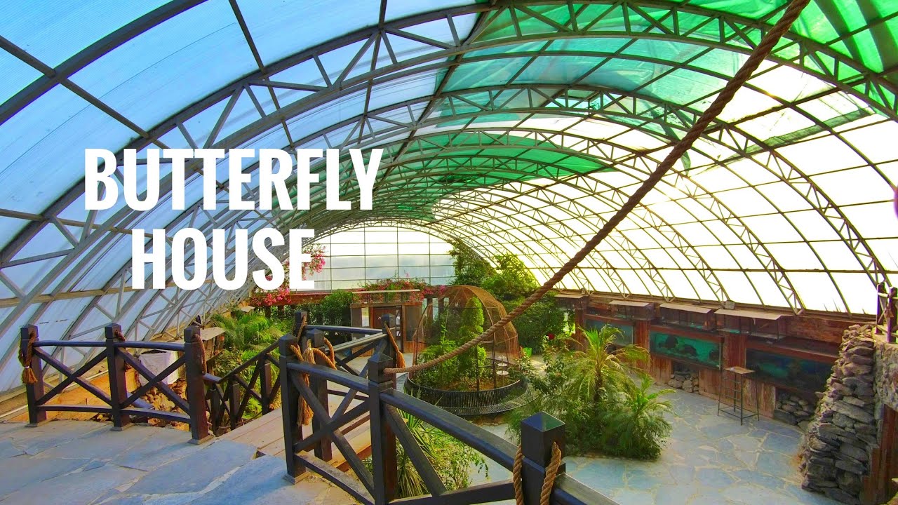 Butterfly House Jallo Park Lahore Expedition Pakistan Youtube