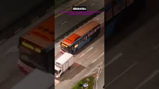 [SBST] Scania #K230UB Batch 2 SBS8459J on 230 (HGDEP 55) - PIMCO Asia FBA