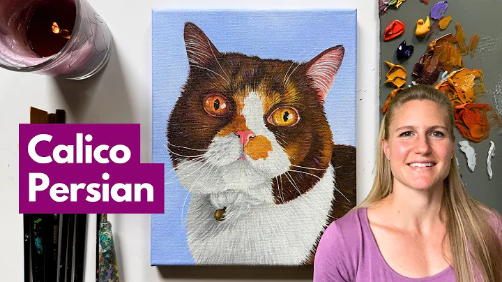 Video 11136021: persiancat persians, persiancat cats catlover, persiancat pets catlover, calico persian cat