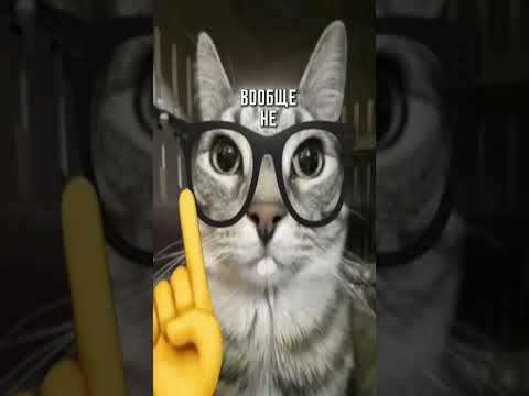 БУСТ ДЛЯ ТВОЕЙ СТАТЫ