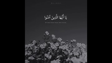 القارئ عبدالله الموسى {إِنَّ اللَّهَ وَمَلَائِكَتَهُ يُصَلُّونَ عَلَى النَّبِيِّ…}