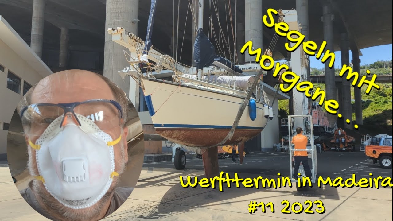 Werfttermin Madeira #11 2023