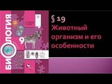 Биология 9 класс. Животный организм и его особенности