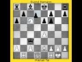 Wizzard Mikail Tal / #chess