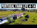 A beautiful FARM in Portugal | PORTUGAL FARM LIFE S4-E14 🌞