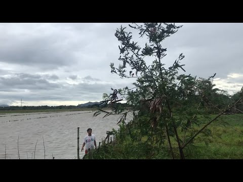 Typhoon Uwan,Philippines