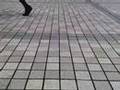 Walking Feet at Tamachi Station