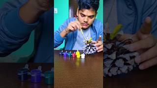 I TRY PINE CONE DIY🤯 AT HOME 🏠 Net Worth