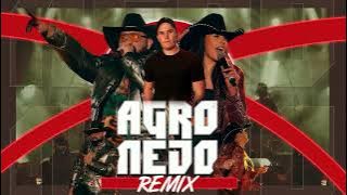 AGRONEJO - Chris no Beat, Ana Castela (Daniel Tomen Remix)
