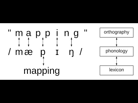 Orthographic mapping explainer