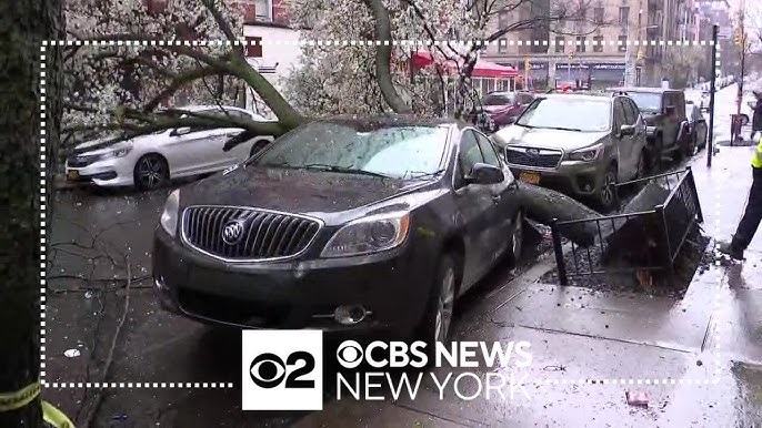 Wind And Rain Bring Tree Down On Cars On Upper West Side