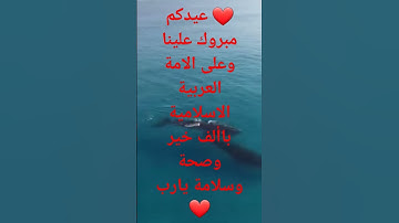 تلاوة عطرة للقارئ احمد العجمي تريح النفوس ماشاء الله صوت رائع أستغفر الله العظيم واتوب اليه