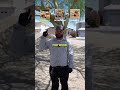 Scorpions vs Spiders vs Termites Pest Guide