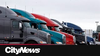Labour trafficking in trucking industry raising road safety concerns