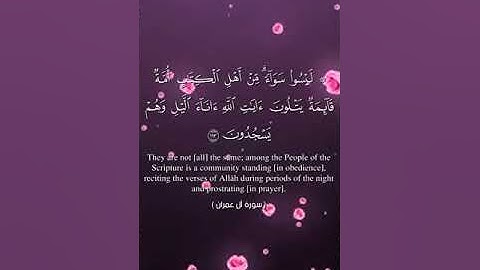 سورة آل عمران من 111 الى 115