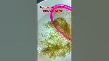 bột cá trê phi hổ trợ tiêu thụ  #cátrêvàng