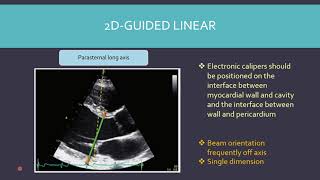 How to interpret a summary of a standard echo report for CCC