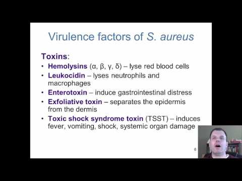 Chapter 18 - The Cocci of Medical Importance