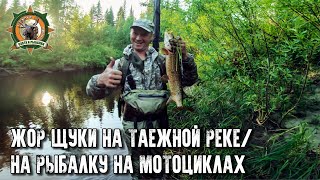 Приключения на мотоциклах!/Супер-рыбалка на таёжной реке/Щука ломает спиннинги!